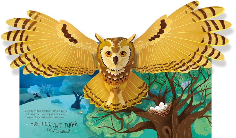 Birds Pop-Up - En Inglés - Image 2