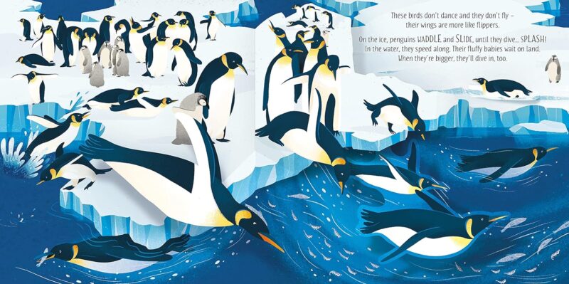 Birds Pop-Up - En Inglés - Image 3