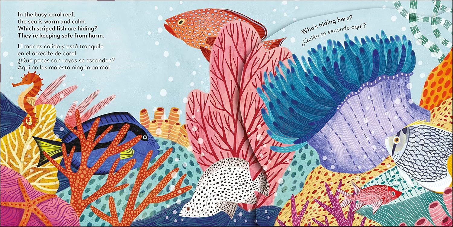 El océano - Ocean | Pop-Up Bilingüe | Peekaboo! - ¡Cucú! - Image 4