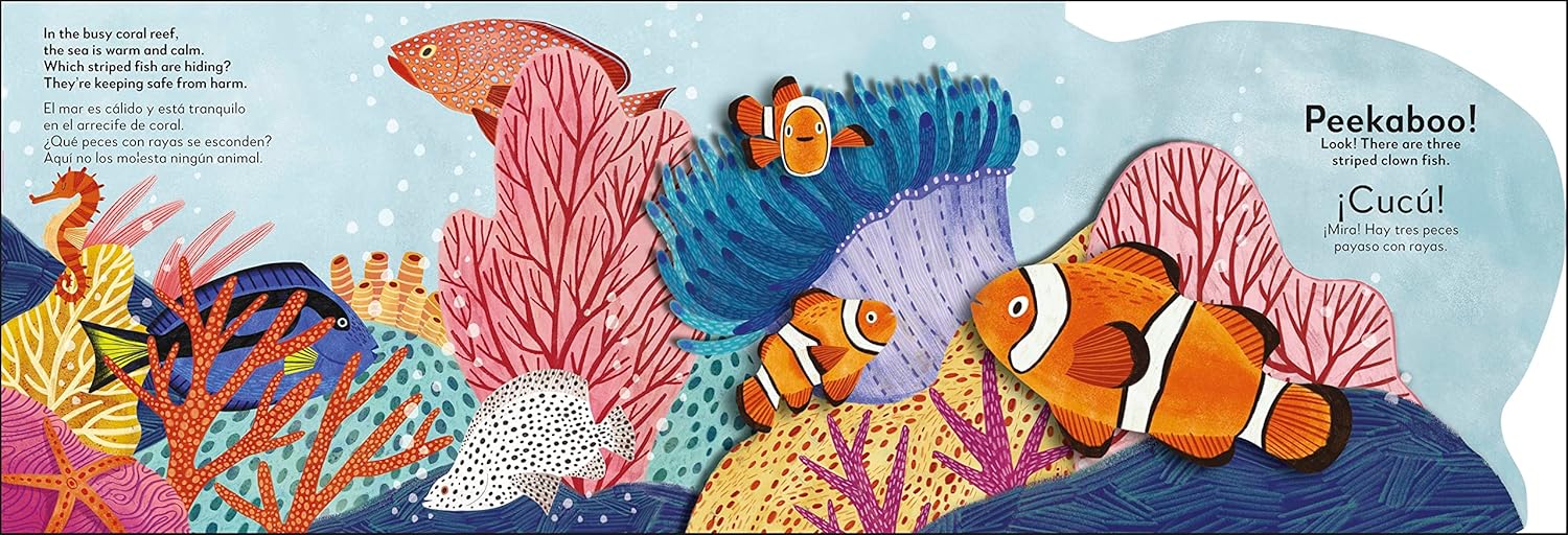 El océano - Ocean | Pop-Up Bilingüe | Peekaboo! - ¡Cucú! - Image 5