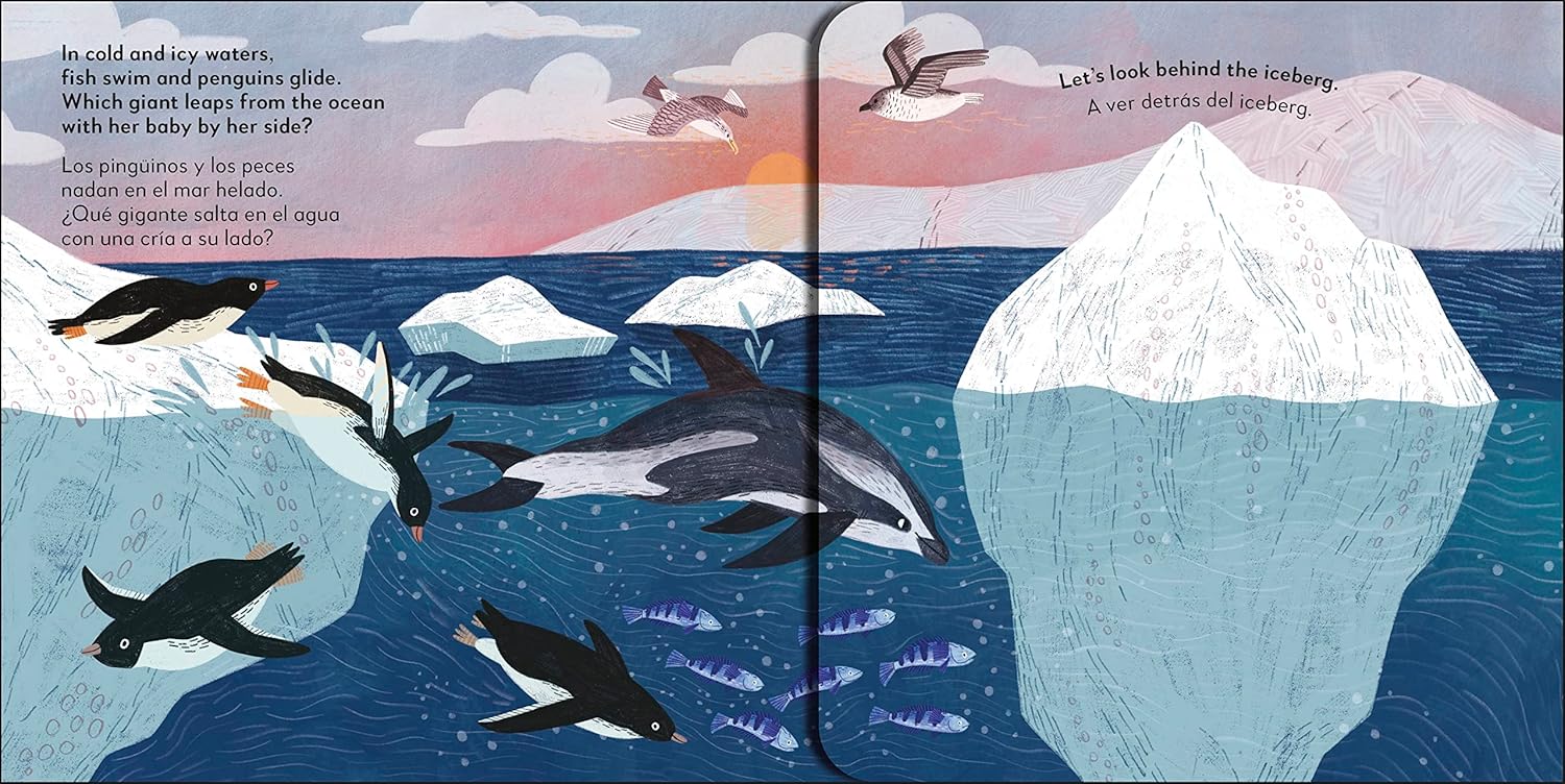 El océano - Ocean | Pop-Up Bilingüe | Peekaboo! - ¡Cucú! - Image 3