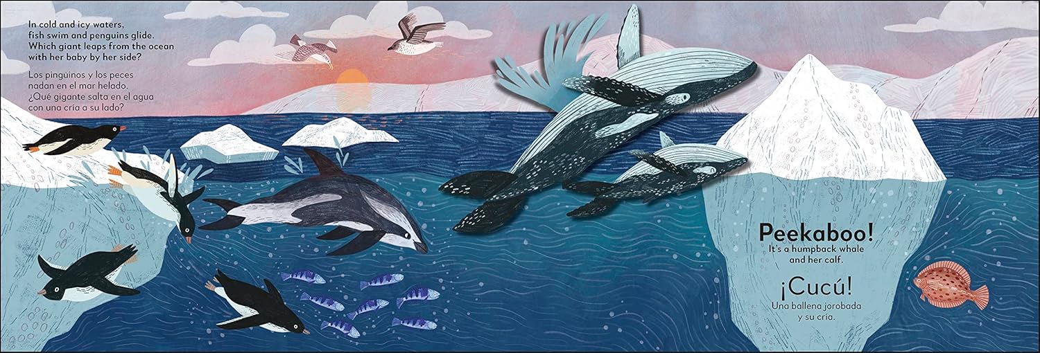 El océano - Ocean | Pop-Up Bilingüe | Peekaboo! - ¡Cucú! - Image 2