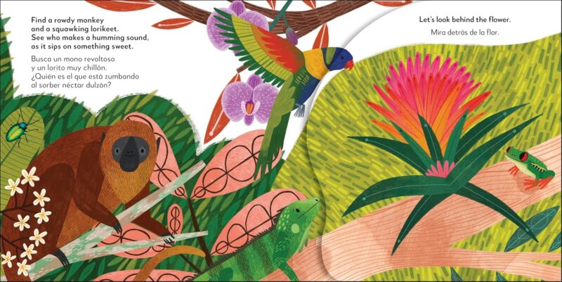 La selva - Rainforest | Pop-Up Bilingüe | Peekaboo! - ¡Cucú! - Image 3