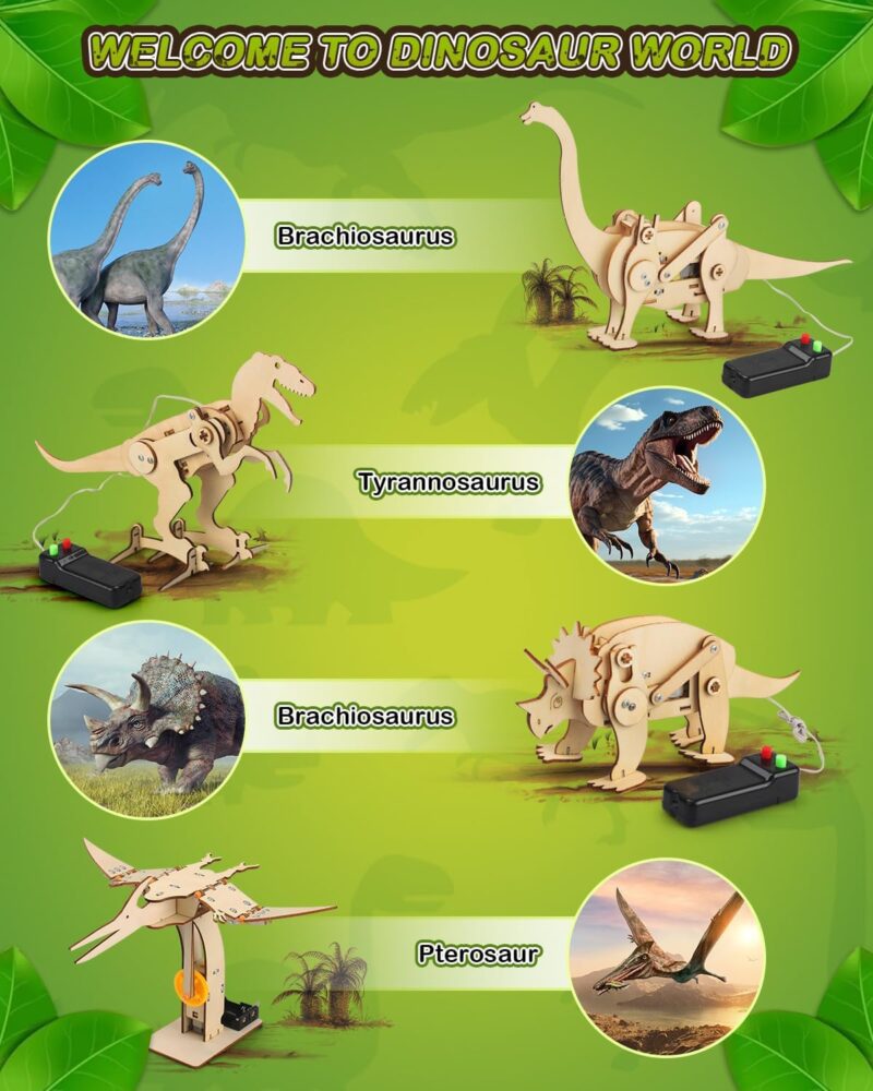 Dinosaurios 3D – 4  Kits en 1 con pinturas – Educación STEAM - Image 3