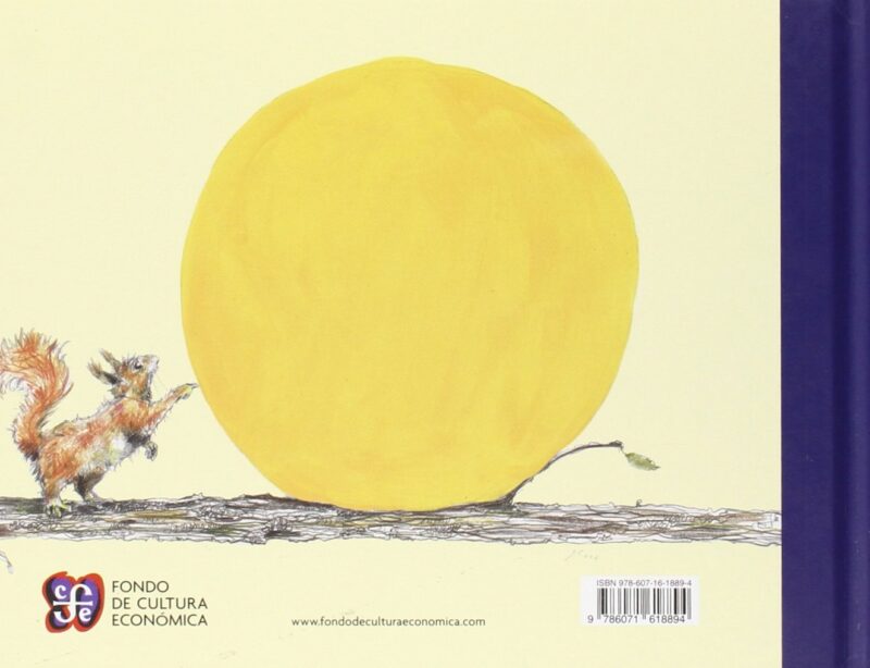 Martín y la luna: libro ilustrado sobre sueños y creatividad - Image 5