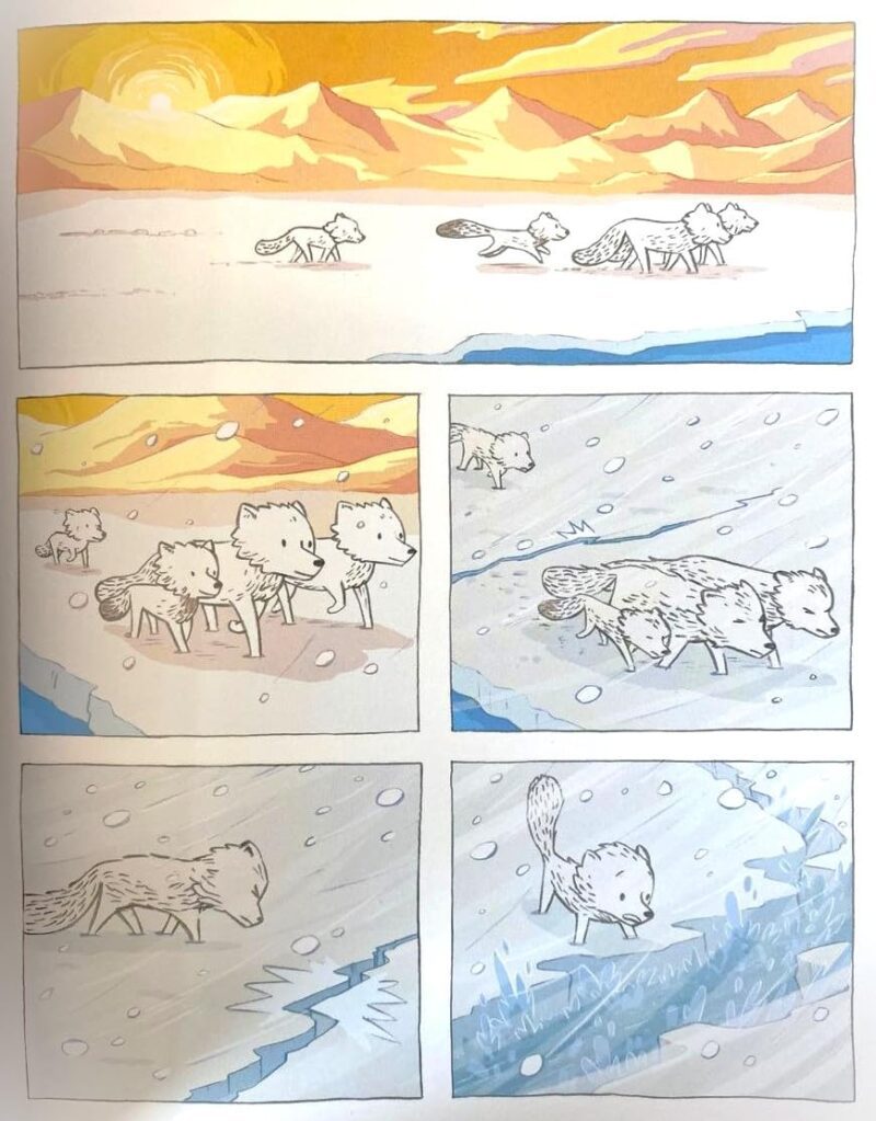 Bola de Nieve: Una Historia de Amistad y Resiliencia - Image 3