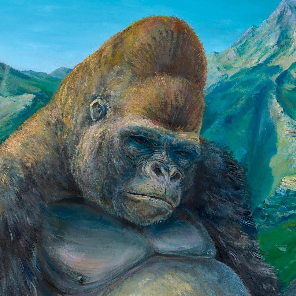 Sabastian Meschenmoser (Artista y Autor)
